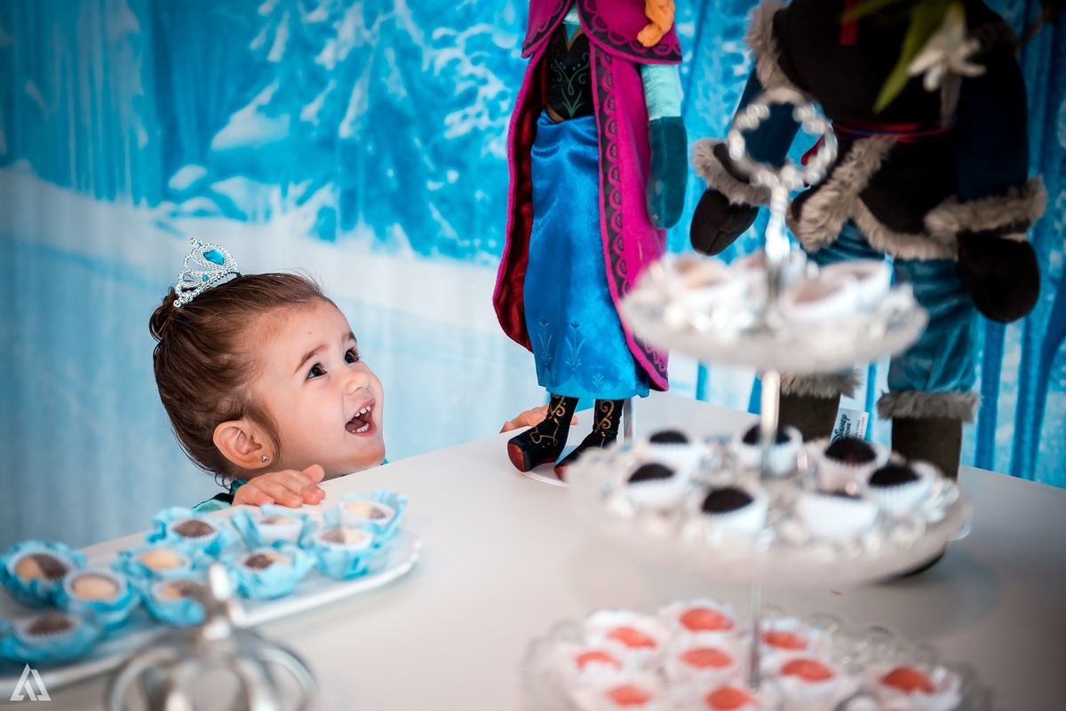 Aniversário Infantil Frozen Macaco Alex Jardim Fotografia Fotógrafo Resende Itatiaia Penedo Porto Real Quatis Barra Mansa Volta Redonda Terras Alphaville Resende