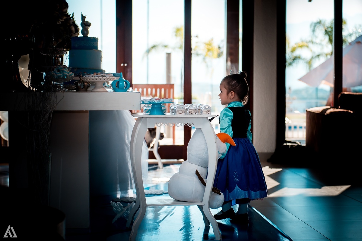 Aniversário Infantil Frozen Macaco Alex Jardim Fotografia Fotógrafo Resende Itatiaia Penedo Porto Real Quatis Barra Mansa Volta Redonda Terras Alphaville Resende