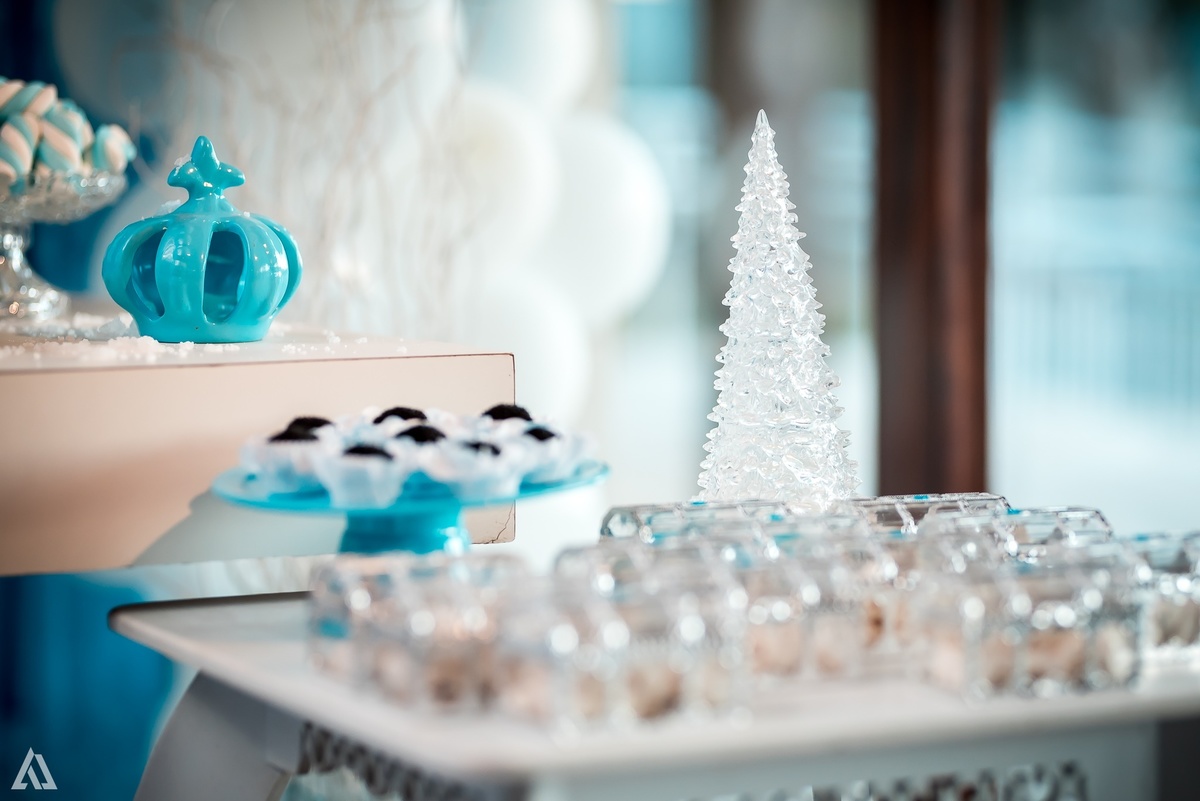 Aniversário Infantil Frozen Macaco Alex Jardim Fotografia Fotógrafo Resende Itatiaia Penedo Porto Real Quatis Barra Mansa Volta Redonda Terras Alphaville Resende