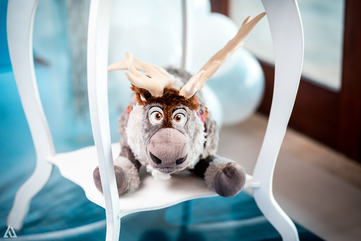 Aniversário Infantil Frozen Macaco Alex Jardim Fotografia Fotógrafo Resende Itatiaia Penedo Porto Real Quatis Barra Mansa Volta Redonda Terras Alphaville Resende