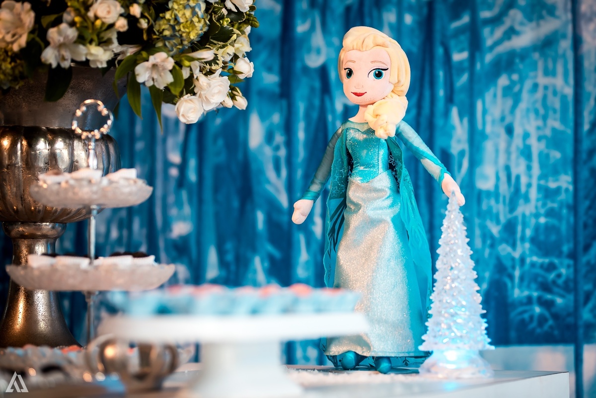 Aniversário Infantil Frozen Macaco Alex Jardim Fotografia Fotógrafo Resende Itatiaia Penedo Porto Real Quatis Barra Mansa Volta Redonda Terras Alphaville Resende