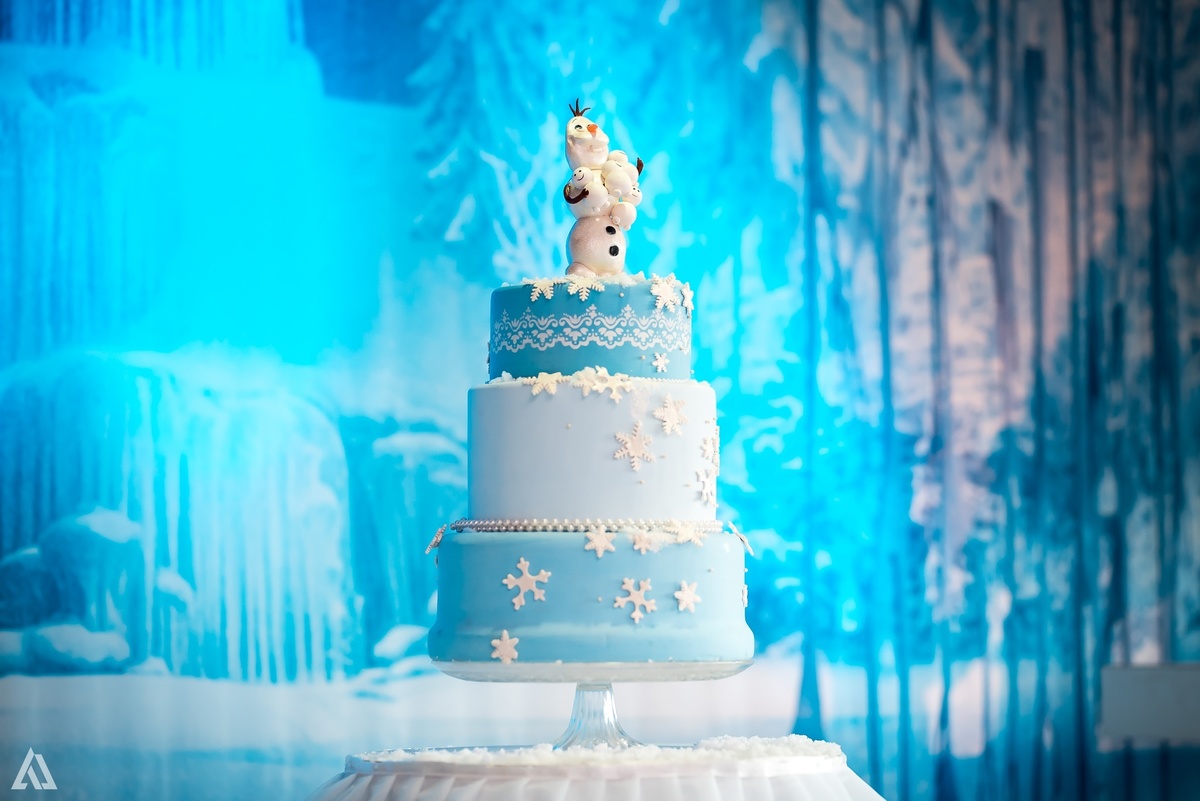 Aniversário Infantil Frozen Macaco Alex Jardim Fotografia Fotógrafo Resende Itatiaia Penedo Porto Real Quatis Barra Mansa Volta Redonda Terras Alphaville Resende