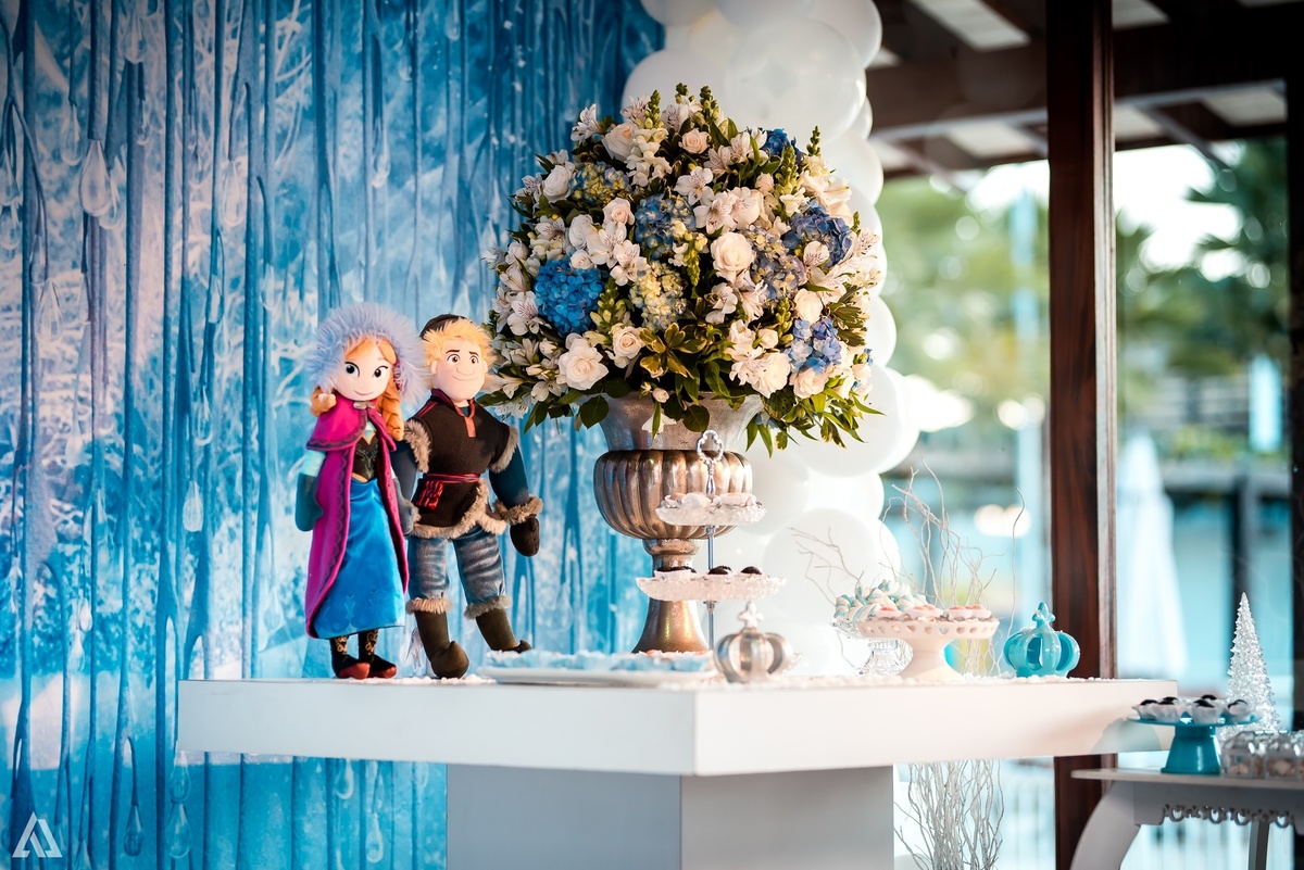 Aniversário Infantil Frozen Macaco Alex Jardim Fotografia Fotógrafo Resende Itatiaia Penedo Porto Real Quatis Barra Mansa Volta Redonda Terras Alphaville Resende