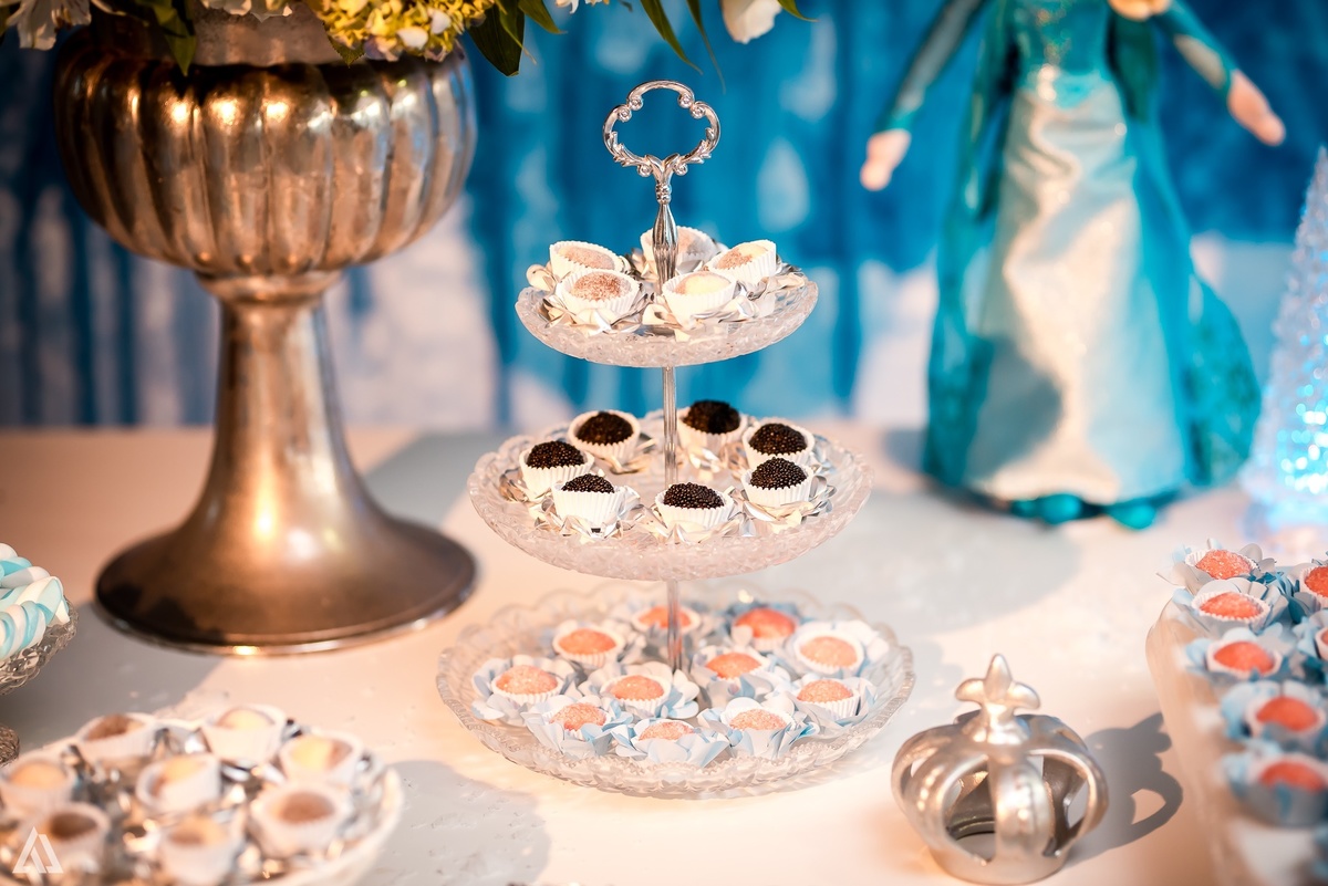 Aniversário Infantil Frozen Macaco Alex Jardim Fotografia Fotógrafo Resende Itatiaia Penedo Porto Real Quatis Barra Mansa Volta Redonda Terras Alphaville Resende