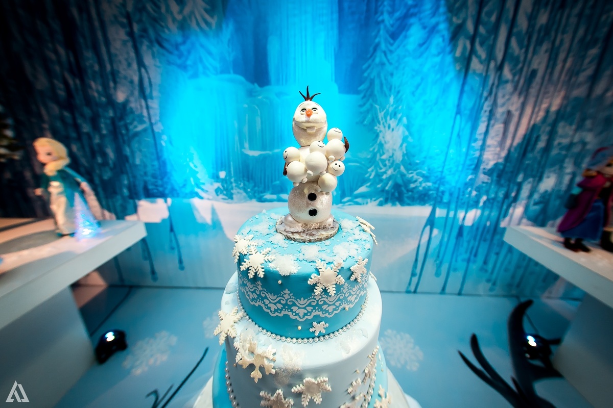 Aniversário Infantil Frozen Macaco Alex Jardim Fotografia Fotógrafo Resende Itatiaia Penedo Porto Real Quatis Barra Mansa Volta Redonda Terras Alphaville Resende