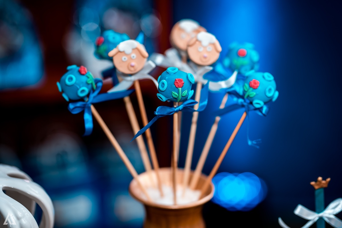 Aniversário Infantil Príncipe Alex Jardim Fotografia Fotógrafo Resende Itatiaia Penedo Porto Real Quatis Barra Mansa Volta Redonda 