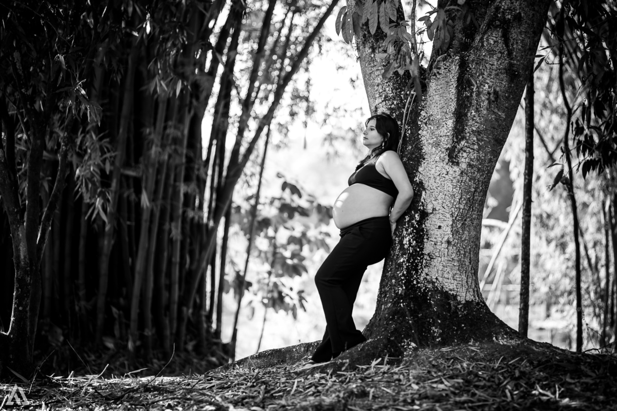 Ensaio Book Gestante Alex Jardim Fotografia Fotógrafo Resende Itatiaia Penedo Porto Real Quatis Barra Mansa Volta Redonda Casa da Lua Clube Campestre