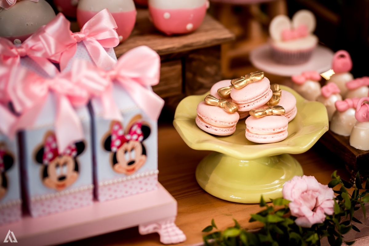 Aniversário Infantil Princesa Minie Alex Jardim Fotografia Fotógrafo Resende Itatiaia Penedo Porto Real Quatis Barra Mansa Volta Redonda La Belle Maison