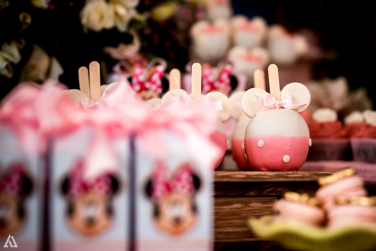 Aniversário Infantil Princesa Minie Alex Jardim Fotografia Fotógrafo Resende Itatiaia Penedo Porto Real Quatis Barra Mansa Volta Redonda La Belle Maison