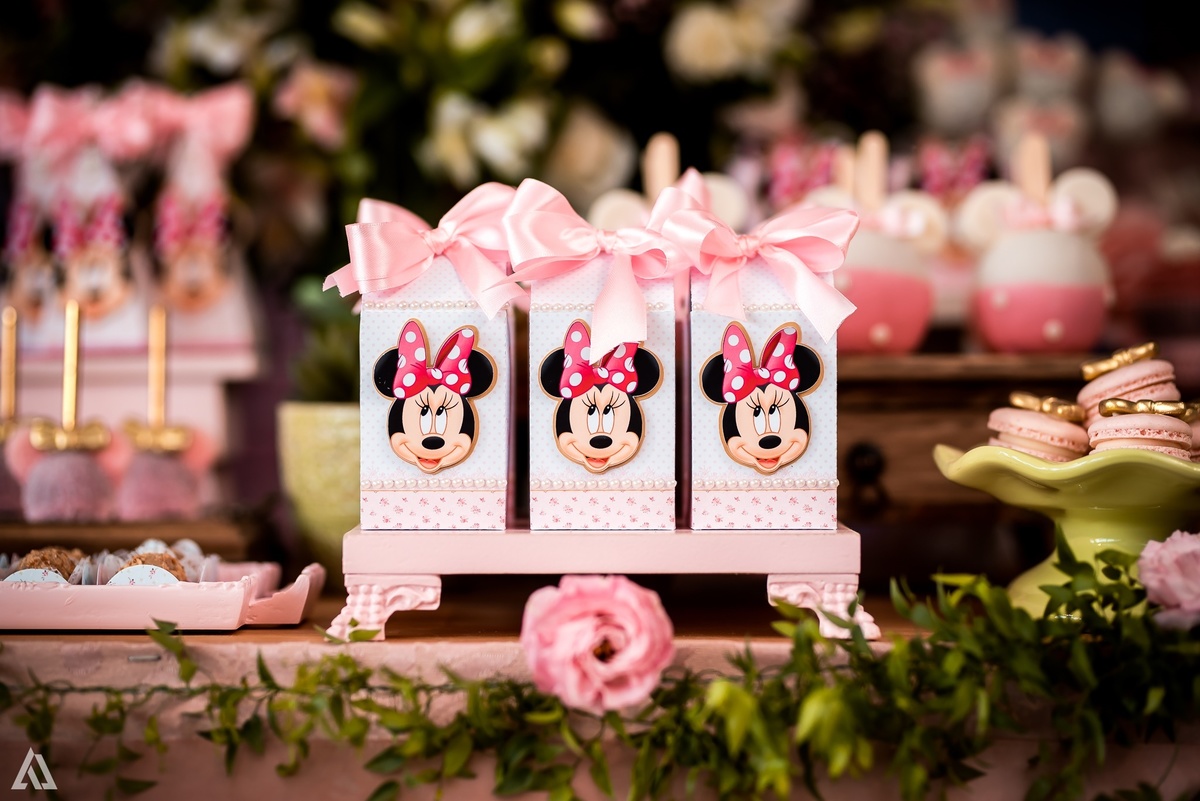 Aniversário Infantil Princesa Minie Alex Jardim Fotografia Fotógrafo Resende Itatiaia Penedo Porto Real Quatis Barra Mansa Volta Redonda La Belle Maison