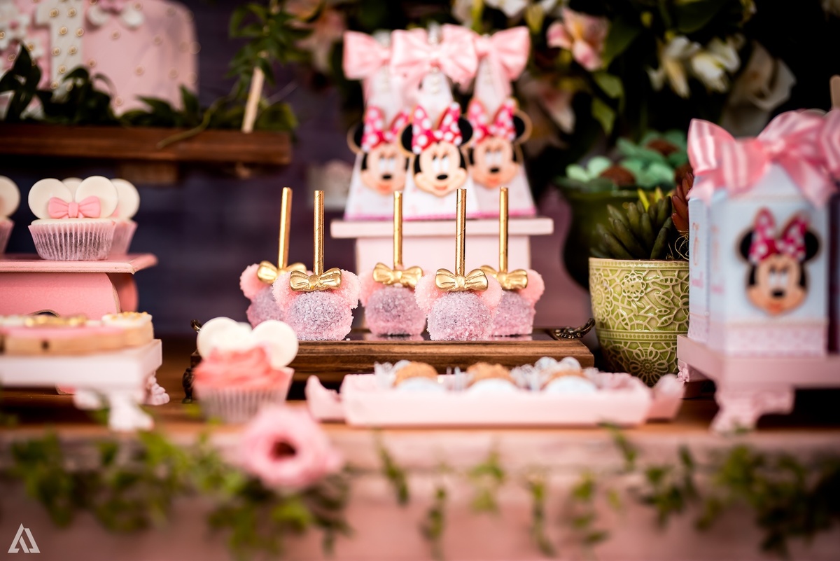 Aniversário Infantil Princesa Minie Alex Jardim Fotografia Fotógrafo Resende Itatiaia Penedo Porto Real Quatis Barra Mansa Volta Redonda La Belle Maison