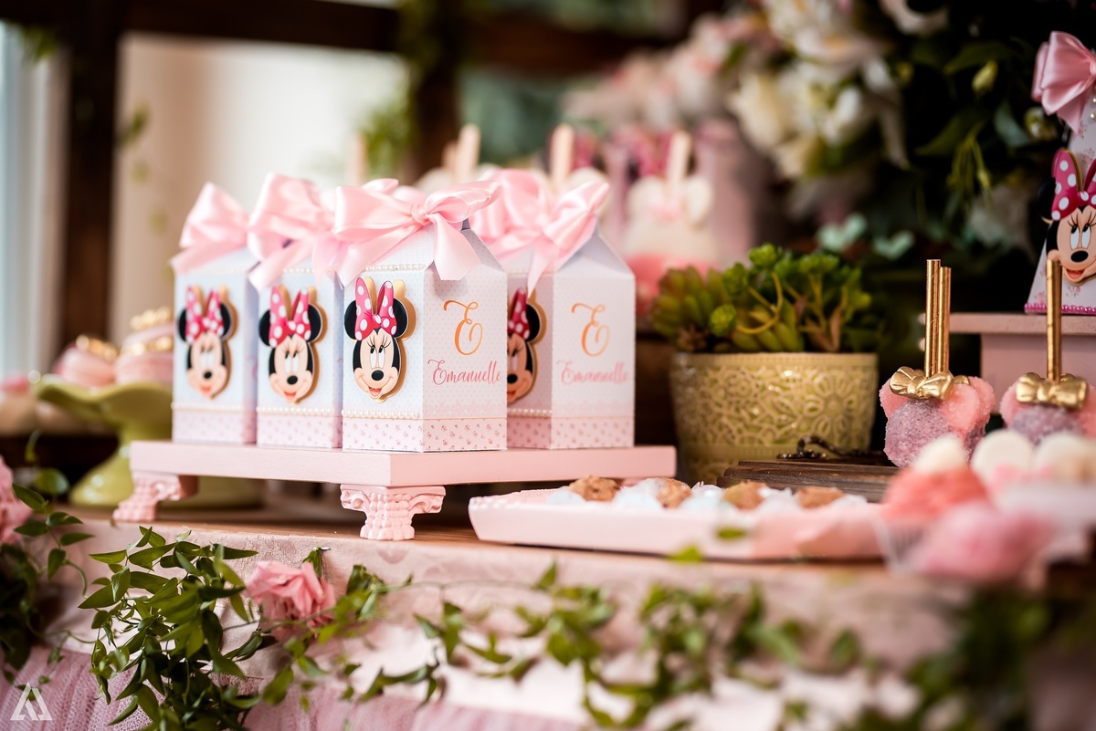 Aniversário Infantil Princesa Minie Alex Jardim Fotografia Fotógrafo Resende Itatiaia Penedo Porto Real Quatis Barra Mansa Volta Redonda La Belle Maison