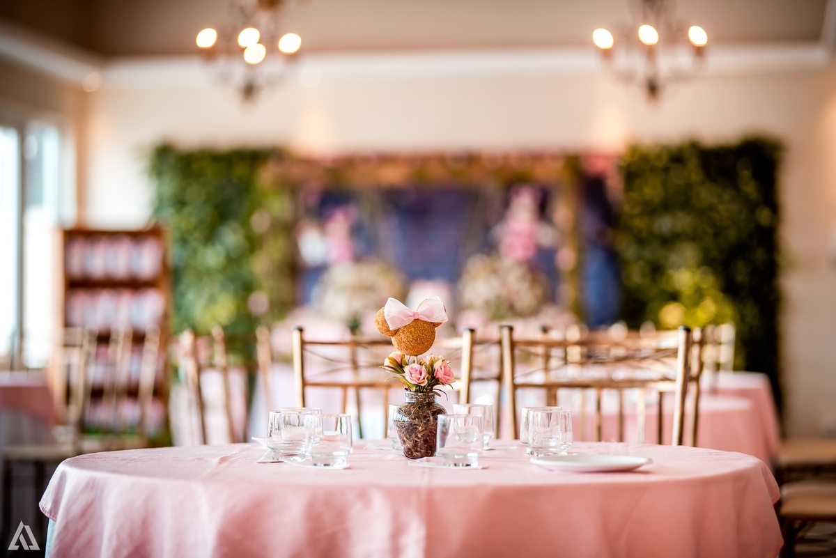 Aniversário Infantil Princesa Minie Alex Jardim Fotografia Fotógrafo Resende Itatiaia Penedo Porto Real Quatis Barra Mansa Volta Redonda La Belle Maison