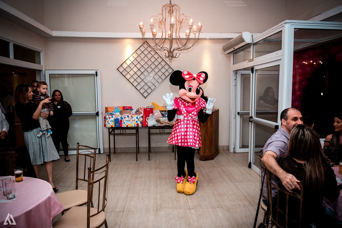 Aniversário Infantil Princesa Minie Alex Jardim Fotografia Fotógrafo Resende Itatiaia Penedo Porto Real Quatis Barra Mansa Volta Redonda La Belle Maison