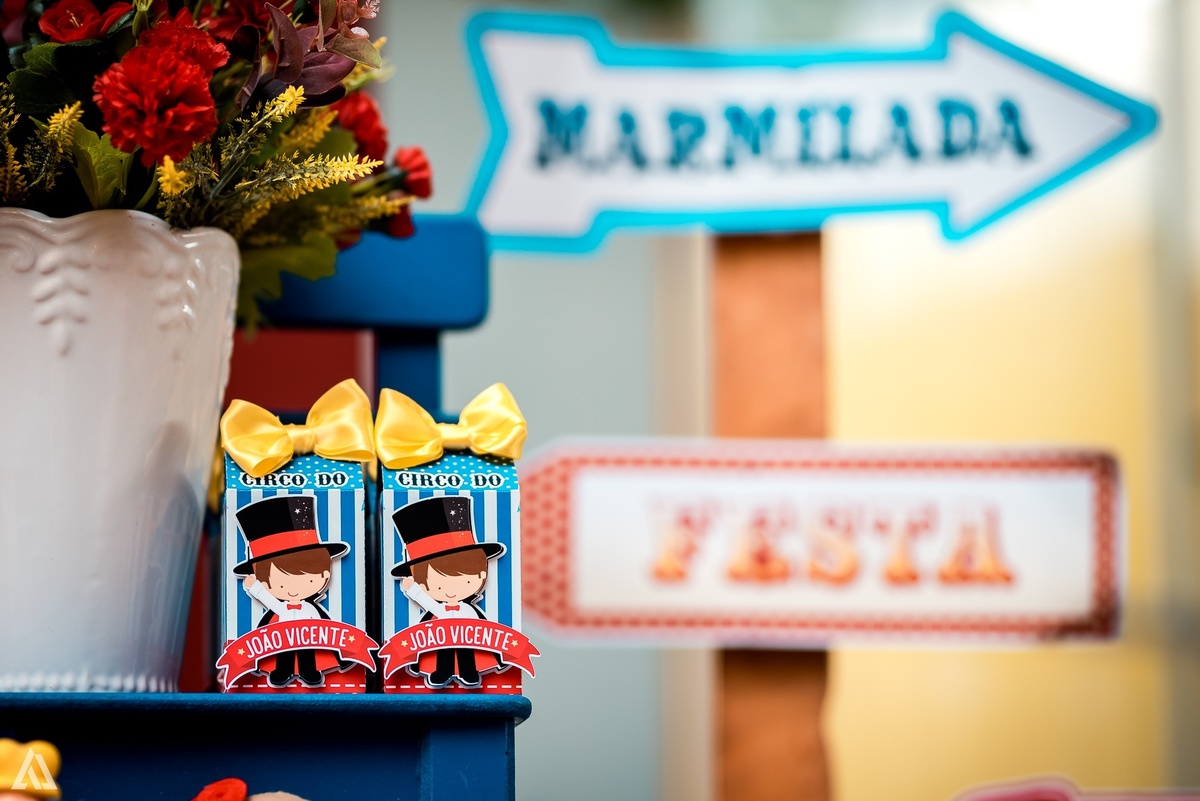 Aniversário Infantil PJ Masks Alex Jardim Fotografia Fotógrafo Resende Itatiaia Penedo Porto Real Quatis Barra Mansa Volta Redonda Meu Pé de Jambo