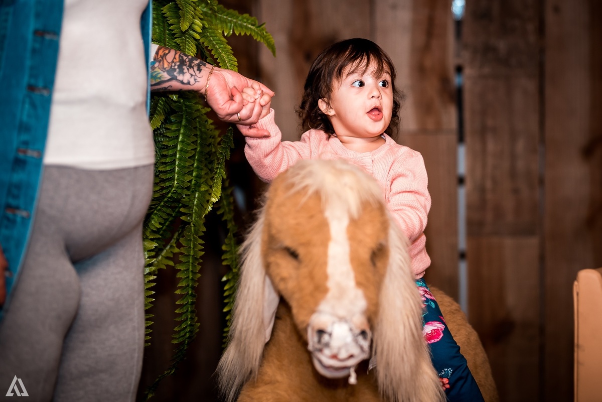 Aniversário Infantil PJ Masks Alex Jardim Fotografia Fotógrafo Resende Itatiaia Penedo Porto Real Quatis Barra Mansa Volta Redonda Meu Pé de Jambo