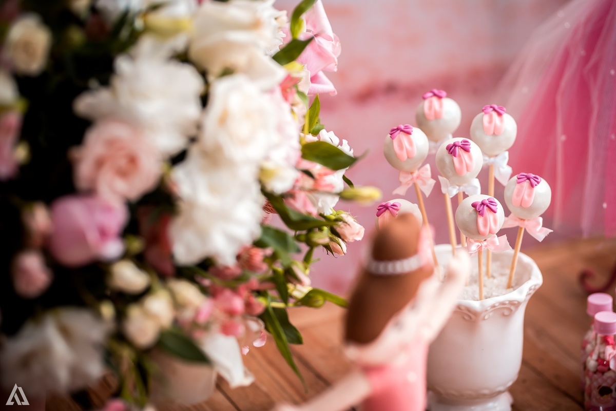 Aniversário Infantil Bailarina Alex Jardim Fotografia Fotógrafo Resende Itatiaia Penedo Porto Real Quatis Barra Mansa Volta Redonda Buffet Pintou Alegria