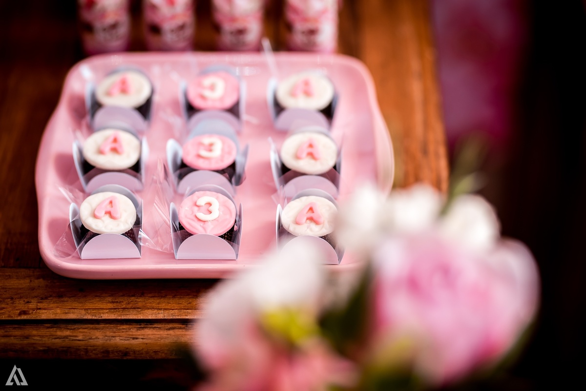 Aniversário Infantil Bailarina Alex Jardim Fotografia Fotógrafo Resende Itatiaia Penedo Porto Real Quatis Barra Mansa Volta Redonda Buffet Pintou Alegria