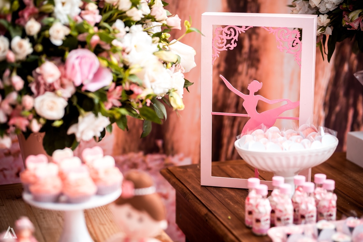 Aniversário Infantil Bailarina Alex Jardim Fotografia Fotógrafo Resende Itatiaia Penedo Porto Real Quatis Barra Mansa Volta Redonda Buffet Pintou Alegria