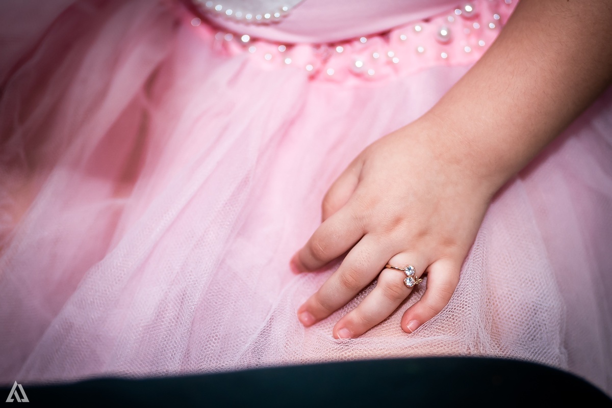 Aniversário Infantil Bailarina Alex Jardim Fotografia Fotógrafo Resende Itatiaia Penedo Porto Real Quatis Barra Mansa Volta Redonda Buffet Pintou Alegria