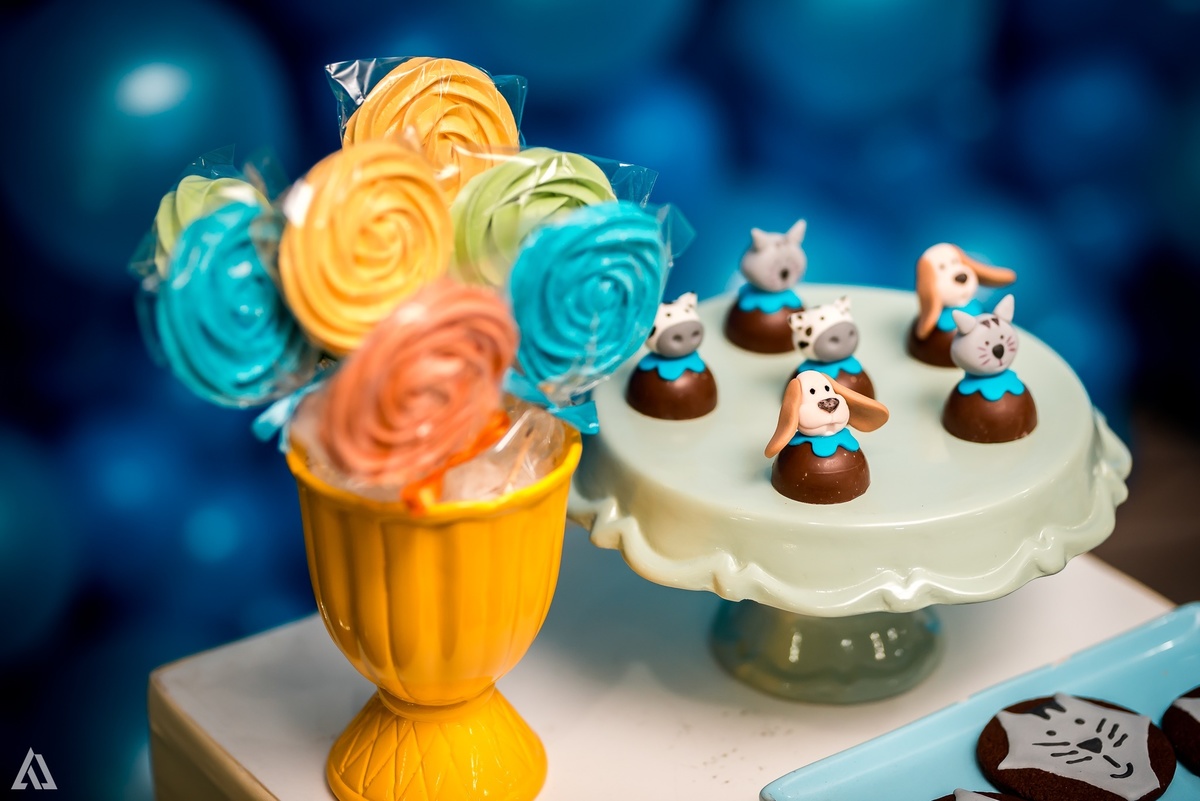 Aniversário Infantil Alex Jardim Fotografia Fotógrafo Resende Itatiaia Penedo Porto Real Quatis Barra Mansa Volta Redonda 