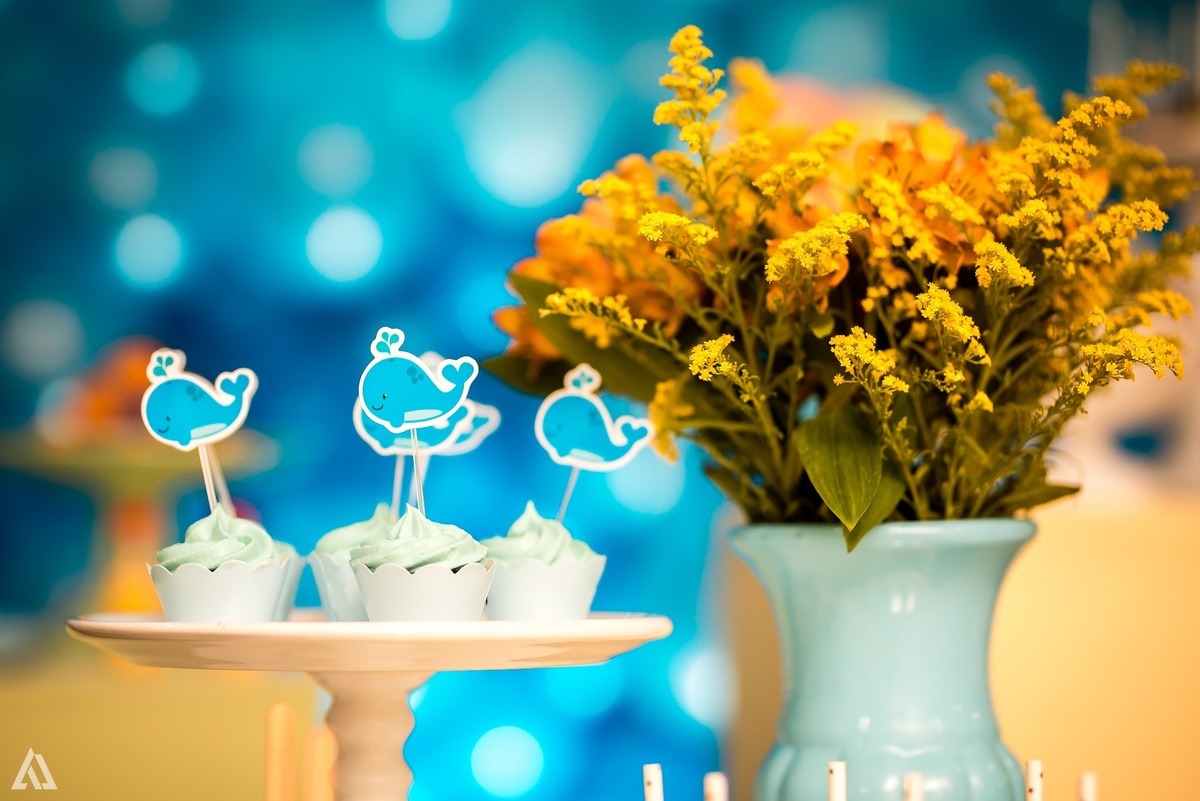 Aniversário Infantil Alex Jardim Fotografia Fotógrafo Resende Itatiaia Penedo Porto Real Quatis Barra Mansa Volta Redonda 