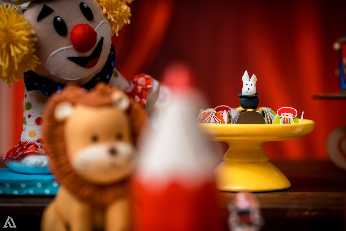 Aniversário Infantil Alex Jardim Fotografia Fotógrafo Resende Itatiaia Penedo Porto Real Quatis Barra Mansa Volta Redonda 