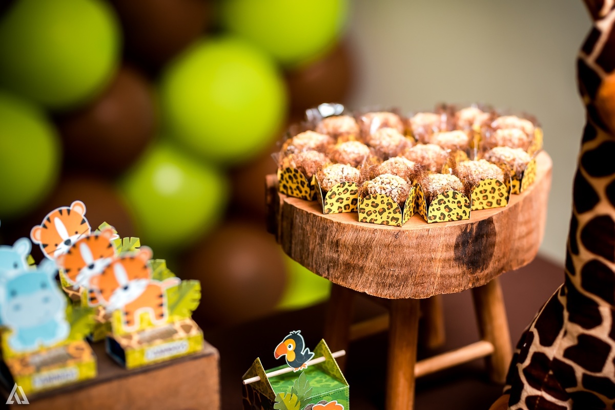 Aniversário Infantil Safari Alex Jardim Fotografia Fotógrafo Resende Itatiaia Penedo Porto Real Quatis Barra Mansa Volta Redonda Espaço Montana Eventos