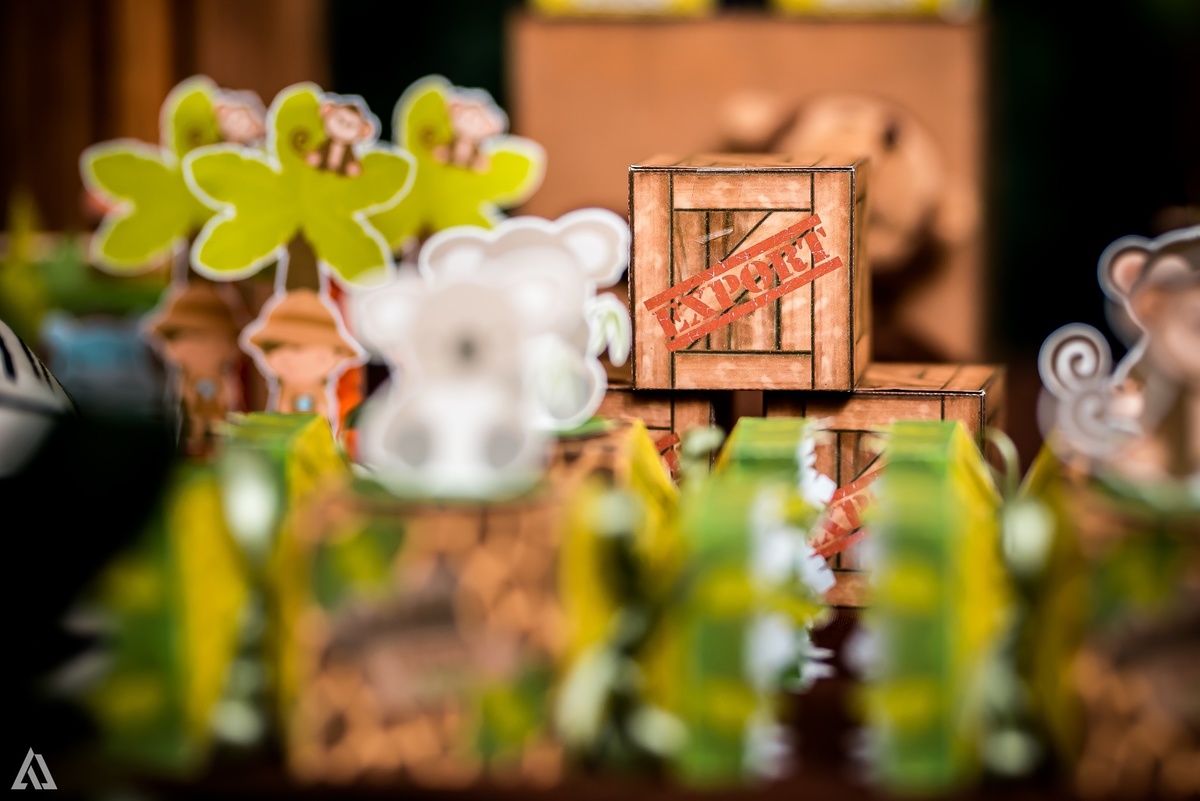 Aniversário Infantil Safari Alex Jardim Fotografia Fotógrafo Resende Itatiaia Penedo Porto Real Quatis Barra Mansa Volta Redonda Espaço Montana Eventos