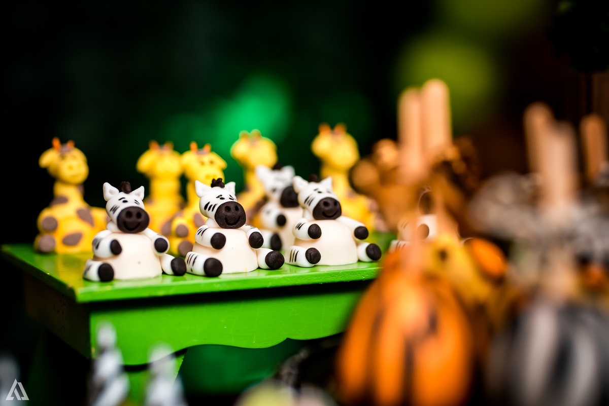 Aniversário Infantil Safari Alex Jardim Fotografia Fotógrafo Resende Itatiaia Penedo Porto Real Quatis Barra Mansa Volta Redonda Espaço Montana Eventos