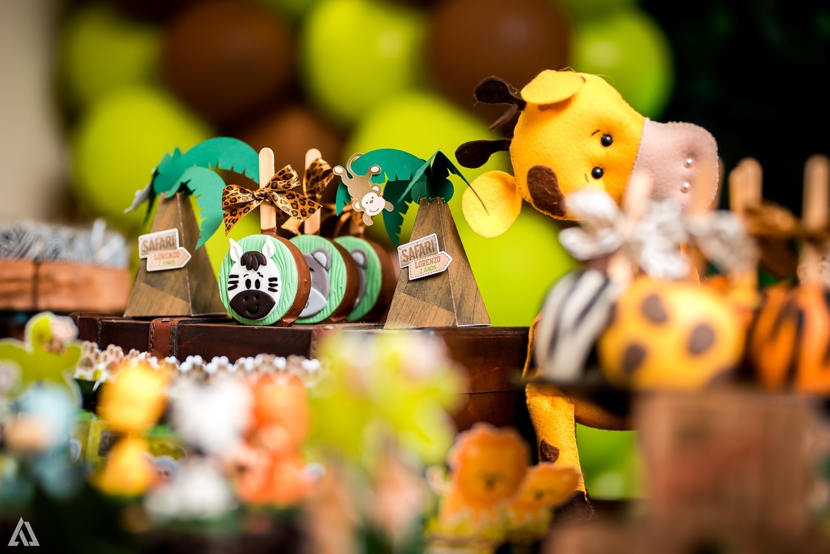 Aniversário Infantil Safari Alex Jardim Fotografia Fotógrafo Resende Itatiaia Penedo Porto Real Quatis Barra Mansa Volta Redonda Espaço Montana Eventos