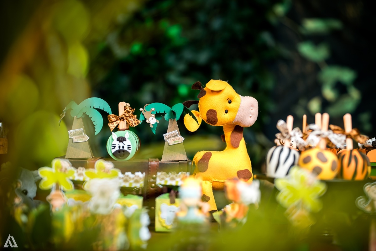 Aniversário Infantil Safari Alex Jardim Fotografia Fotógrafo Resende Itatiaia Penedo Porto Real Quatis Barra Mansa Volta Redonda Espaço Montana Eventos