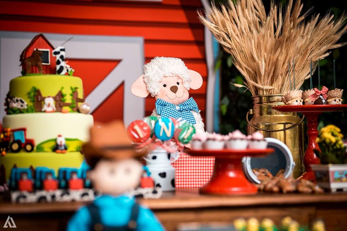 Aniversário Infantil Alex Jardim Fotografia Fotógrafo Resende Itatiaia Penedo Porto Real Quatis Barra Mansa Volta Redonda Síndrome de Down