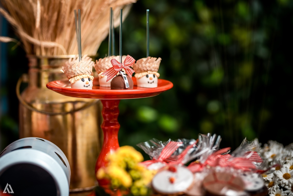 Aniversário Infantil Alex Jardim Fotografia Fotógrafo Resende Itatiaia Penedo Porto Real Quatis Barra Mansa Volta Redonda Síndrome de Down