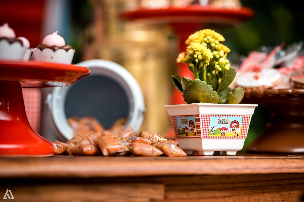 Aniversário Infantil Alex Jardim Fotografia Fotógrafo Resende Itatiaia Penedo Porto Real Quatis Barra Mansa Volta Redonda Síndrome de Down