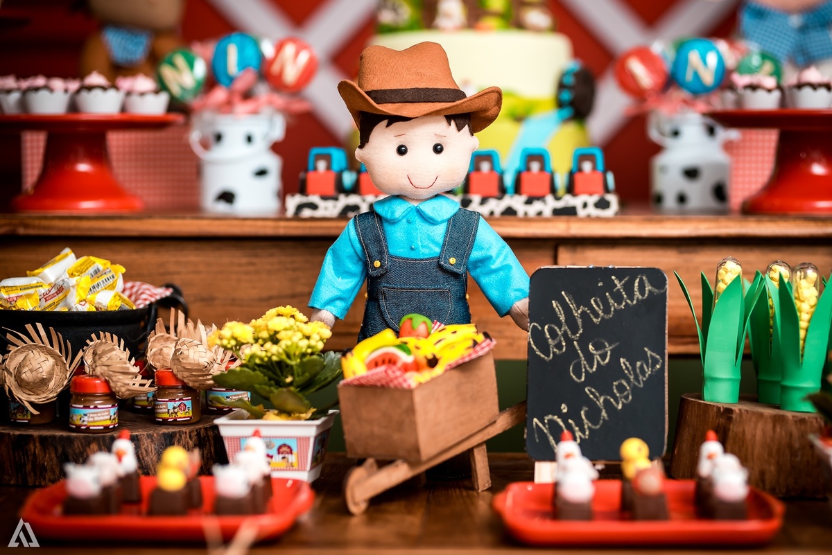 Aniversário Infantil Alex Jardim Fotografia Fotógrafo Resende Itatiaia Penedo Porto Real Quatis Barra Mansa Volta Redonda Síndrome de Down