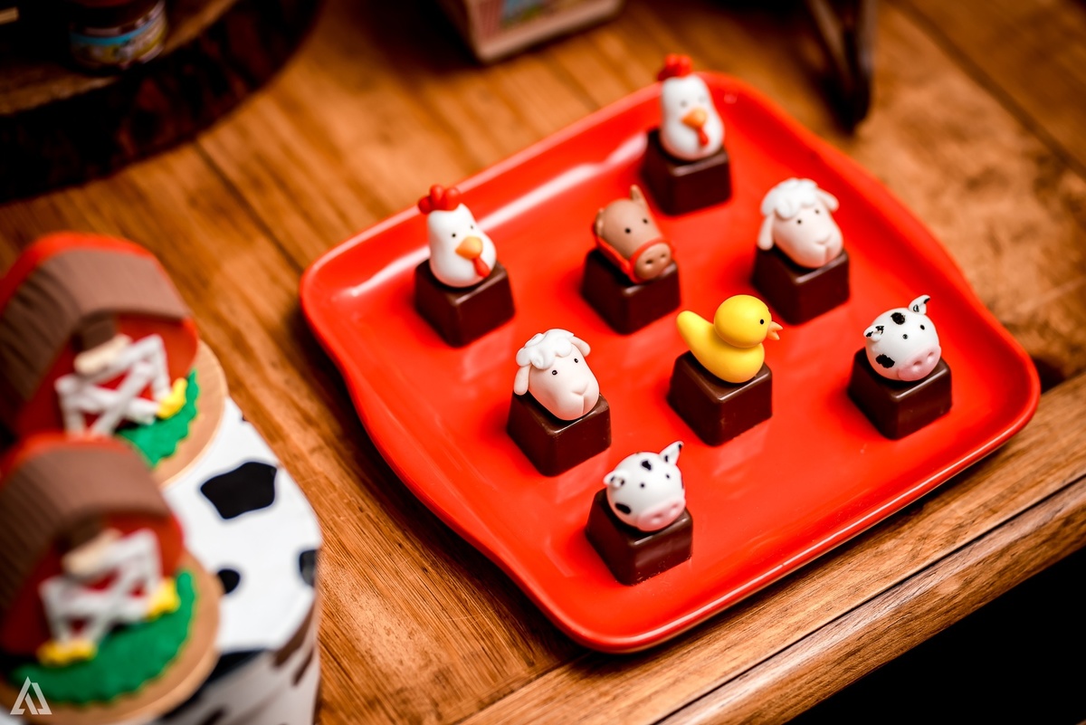 Aniversário Infantil Alex Jardim Fotografia Fotógrafo Resende Itatiaia Penedo Porto Real Quatis Barra Mansa Volta Redonda Síndrome de Down