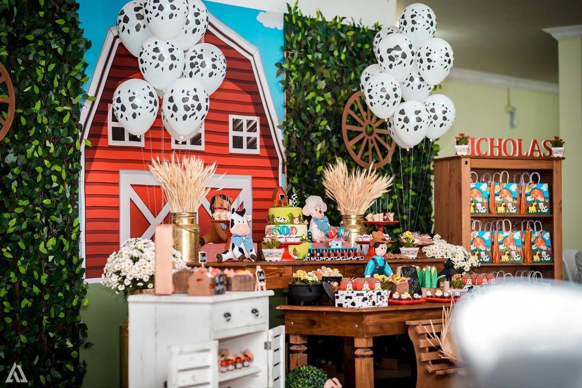 Aniversário Infantil Alex Jardim Fotografia Fotógrafo Resende Itatiaia Penedo Porto Real Quatis Barra Mansa Volta Redonda Síndrome de Down