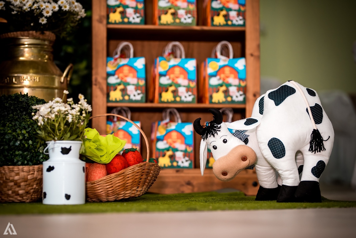 Aniversário Infantil Alex Jardim Fotografia Fotógrafo Resende Itatiaia Penedo Porto Real Quatis Barra Mansa Volta Redonda Síndrome de Down