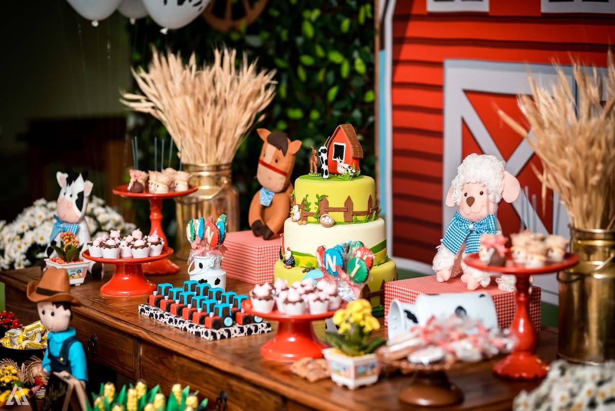 Aniversário Infantil Alex Jardim Fotografia Fotógrafo Resende Itatiaia Penedo Porto Real Quatis Barra Mansa Volta Redonda Síndrome de Down