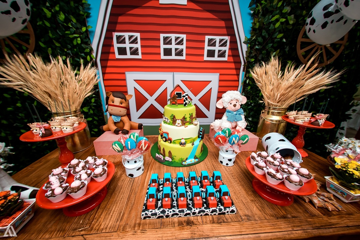 Aniversário Infantil Alex Jardim Fotografia Fotógrafo Resende Itatiaia Penedo Porto Real Quatis Barra Mansa Volta Redonda Síndrome de Down