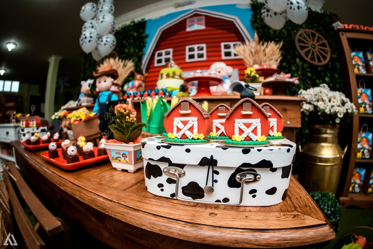 Aniversário Infantil Alex Jardim Fotografia Fotógrafo Resende Itatiaia Penedo Porto Real Quatis Barra Mansa Volta Redonda Síndrome de Down