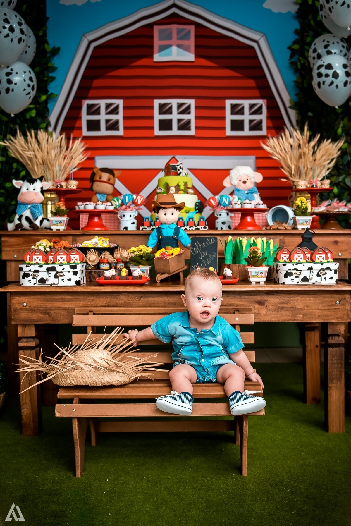 Aniversário Infantil Alex Jardim Fotografia Fotógrafo Resende Itatiaia Penedo Porto Real Quatis Barra Mansa Volta Redonda Síndrome de Down