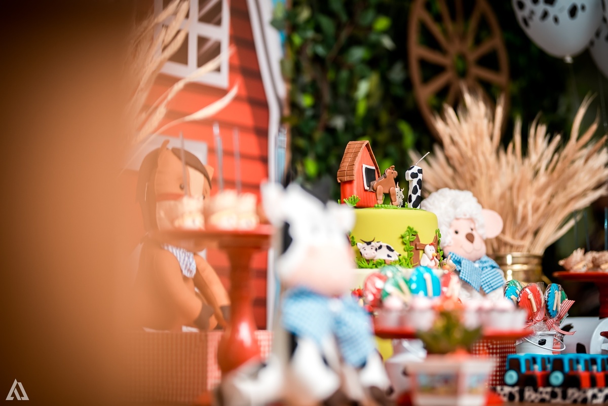 Aniversário Infantil Alex Jardim Fotografia Fotógrafo Resende Itatiaia Penedo Porto Real Quatis Barra Mansa Volta Redonda Síndrome de Down