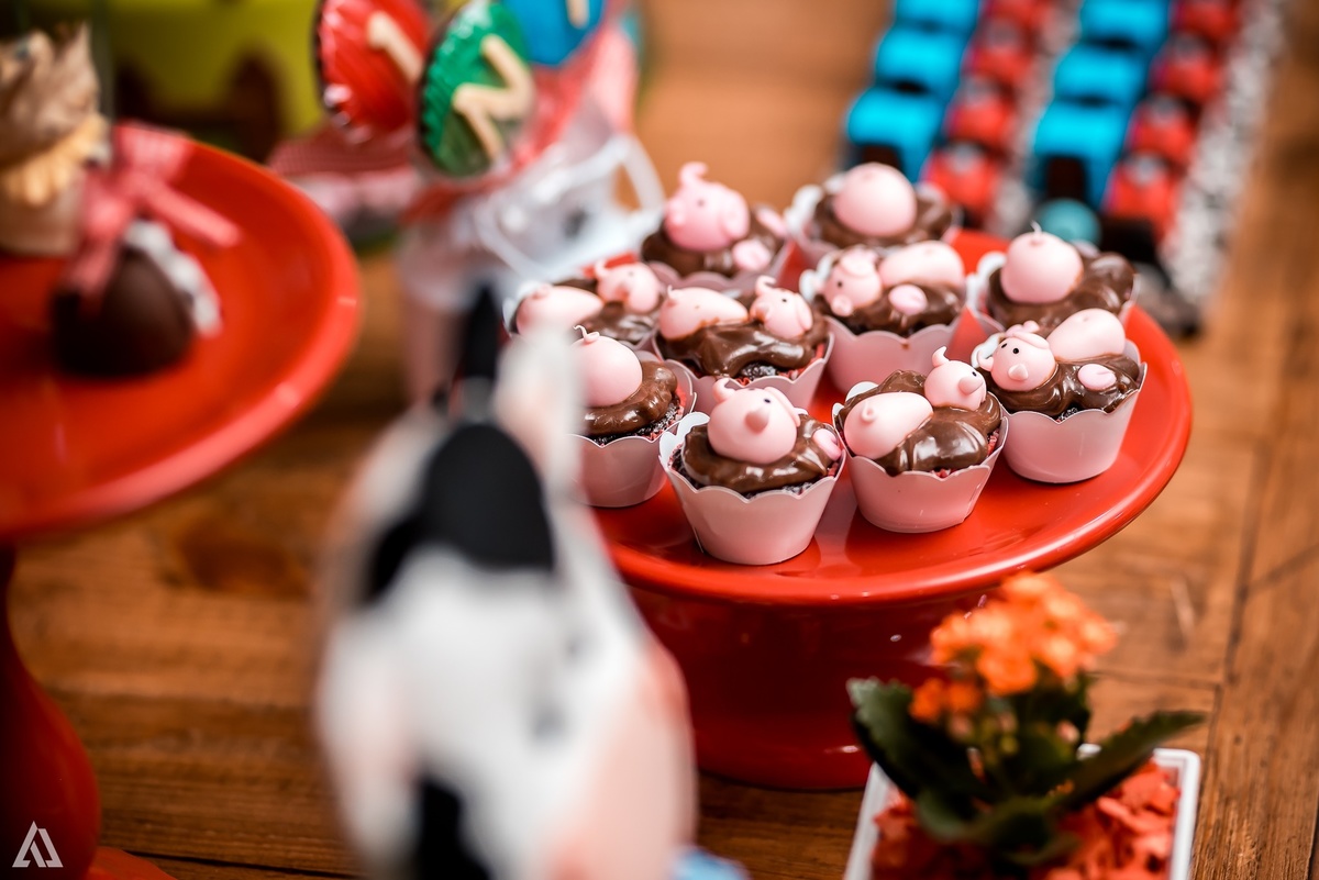 Aniversário Infantil Alex Jardim Fotografia Fotógrafo Resende Itatiaia Penedo Porto Real Quatis Barra Mansa Volta Redonda Síndrome de Down