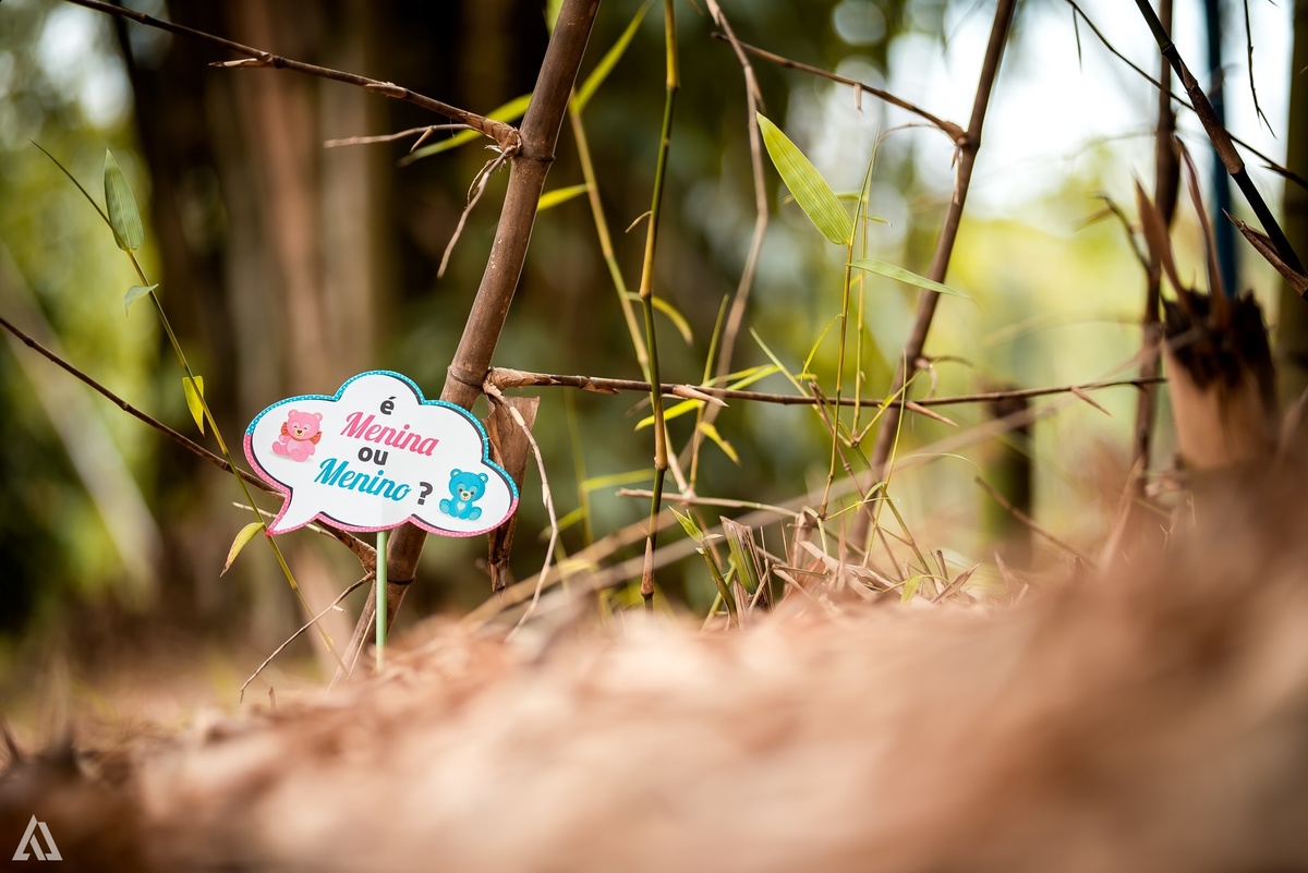 Ensaio Revelação Book Gestante Alex Jardim Fotografia Fotógrafo Resende Itatiaia Penedo Porto Real Quatis Barra Mansa Volta Redonda Serrinha do Alambari Casa da Lua Clube Campestre