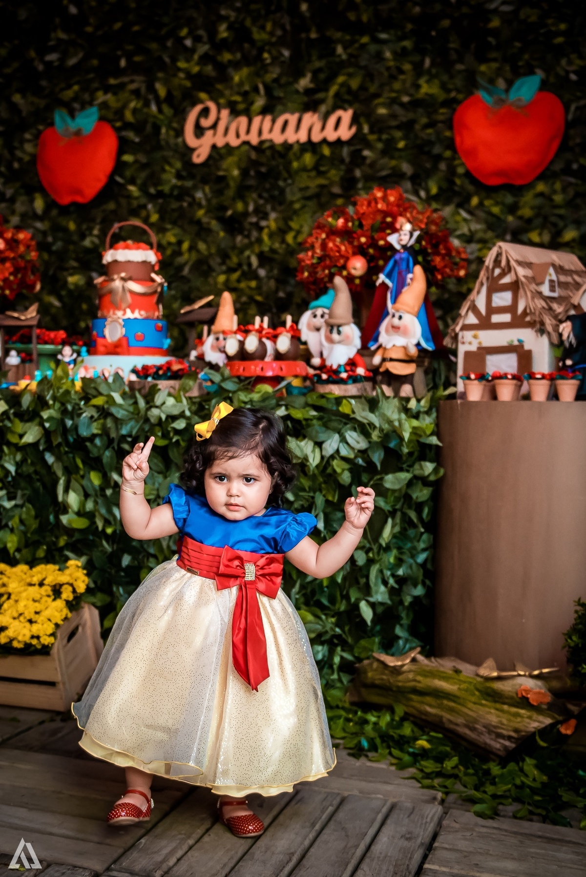 Aniversário Infantil Branca de Neve Alex Jardim Fotografia Fotógrafo Resende Itatiaia Penedo Porto Real Quatis Barra Mansa Volta Redonda