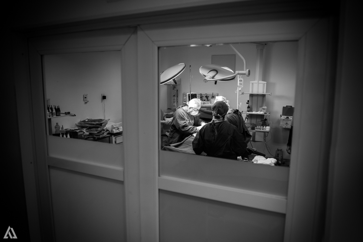 Fotografia de Parto Alex Jardim Fotografia Fotógrafo iapbp cesarean maternidade Resende Itatiaia Penedo Porto Real Quatis Barra Mansa Volta Redonda Serrinha do Alambari Hospital Samer