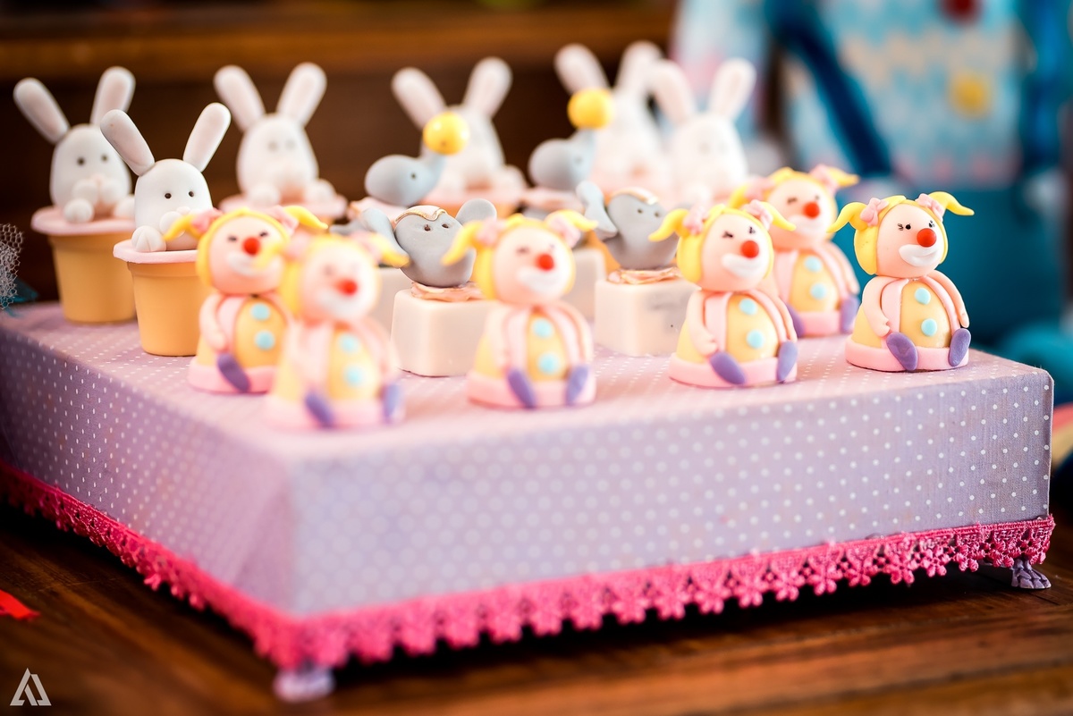 Aniversário Infantil Circo Alex Jardim Fotografia Fotógrafo Resende Itatiaia Penedo Porto Real Quatis Barra Mansa Volta Redonda Terras Alphaville Resende