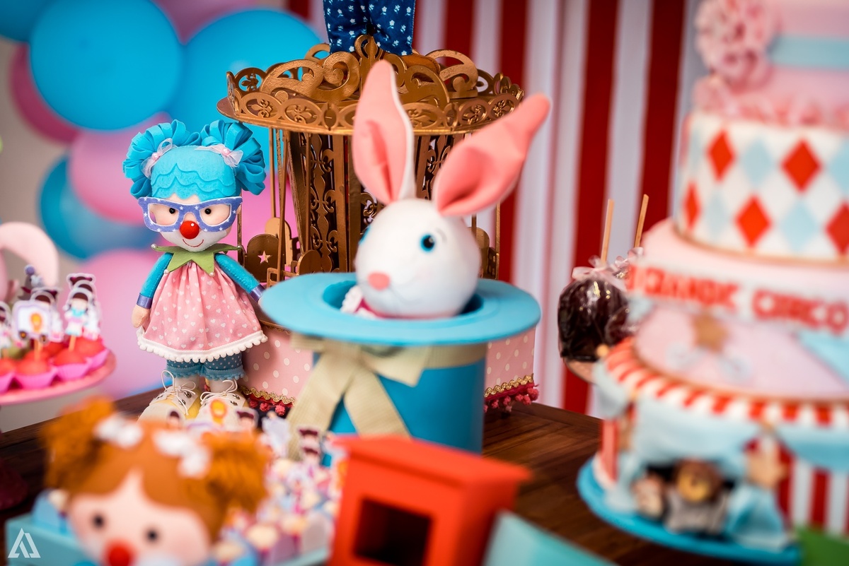 Aniversário Infantil Circo Alex Jardim Fotografia Fotógrafo Resende Itatiaia Penedo Porto Real Quatis Barra Mansa Volta Redonda Terras Alphaville Resende